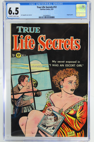 True Life Secrets #12 CGC 6.5 Lingerie Panel